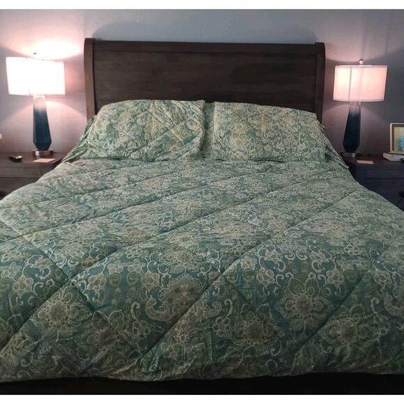 Pottery Barn Paisley Emma Full Queen Quilted Comforter 2 Standard Shams - Picture 2 of 12